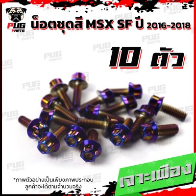 N_SET_MSXSF16-18_0