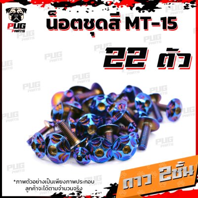 N_SET_MT15_13