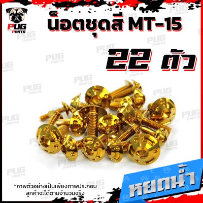 N_SET_MT15_11