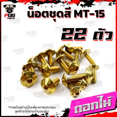 N_SET_MT15_1
