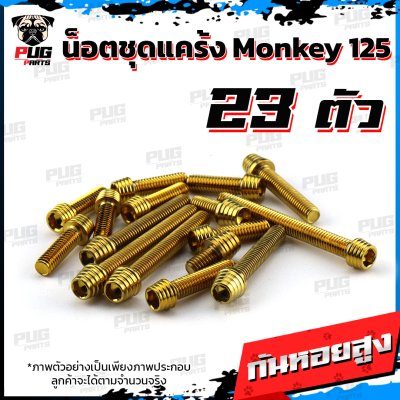 N_SET_Monkey125_2