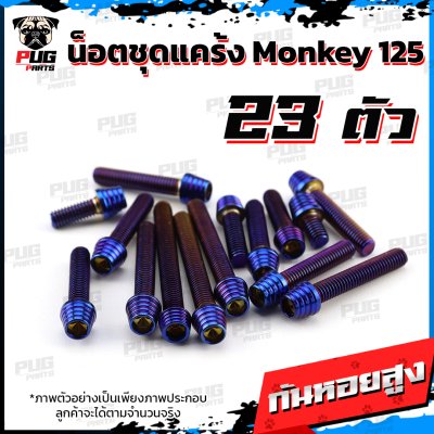 N_SET_Monkey125_1