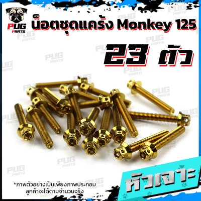 N_SET_Monkey125_9