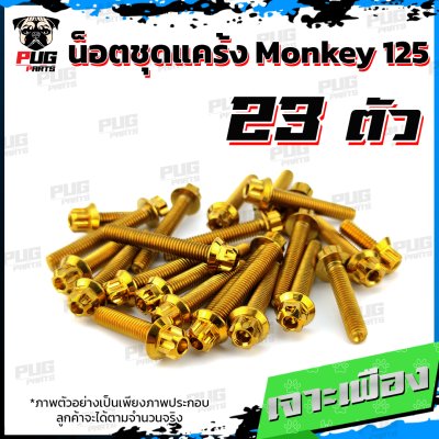 N_SET_Monkey125_6