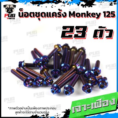 N_SET_Monkey125_5