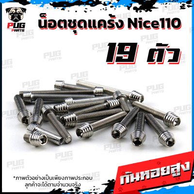 N_SET_Nice110_3