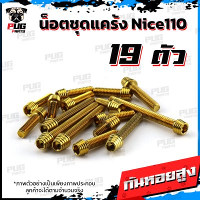 N_SET_Nice110_2