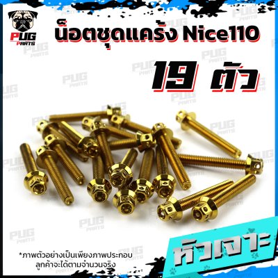 N_SET_Nice110_9