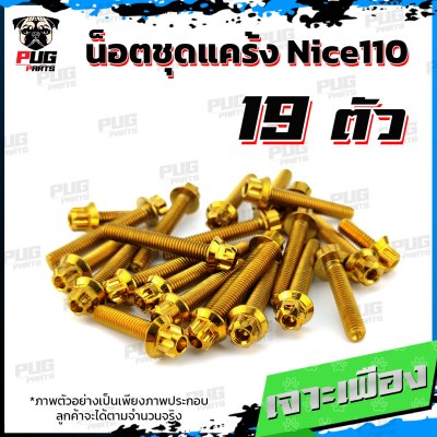 N_SET_Nice110_6