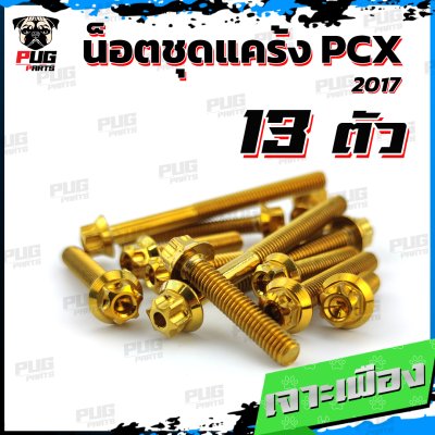 N_SET_PCX2017_6