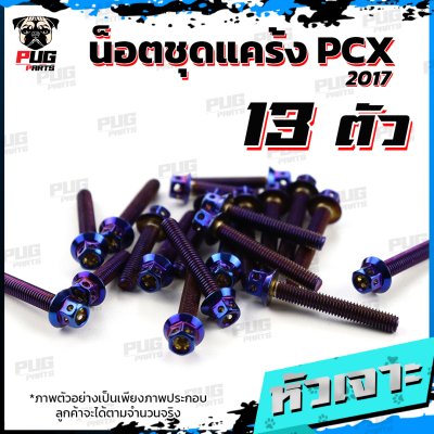 N_SET_PCX2017_4