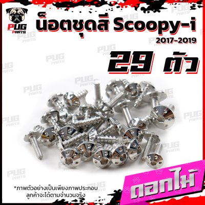 N_SET_Scoopy-i17-19_18