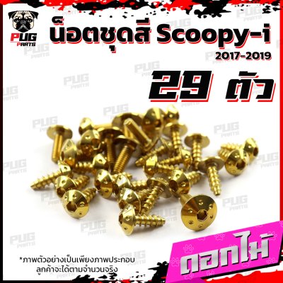 N_SET_Scoopy-i17-19_7