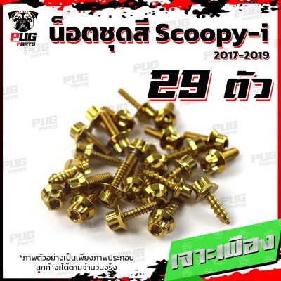 N_SET_Scoopy-i17-19_1