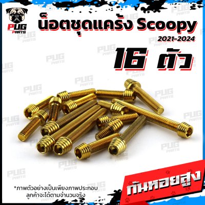N_SET_Scoopyi2124_3