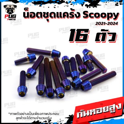 N_SET_Scoopyi2124_2