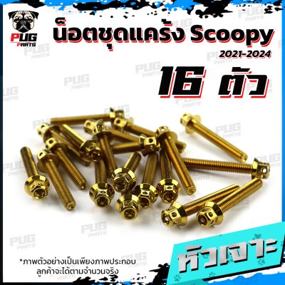 N_SET_Scoopyi2124_0