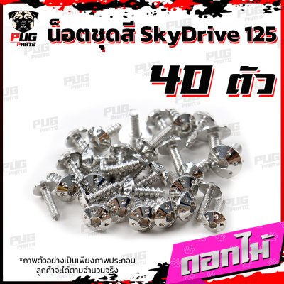 N_SET_Skydrive125_13