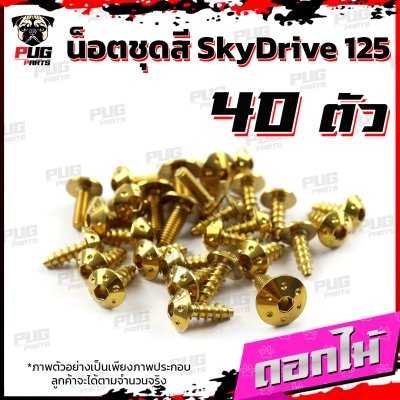 N_SET_Skydrive125_7