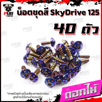 N_SET_Skydrive125_6