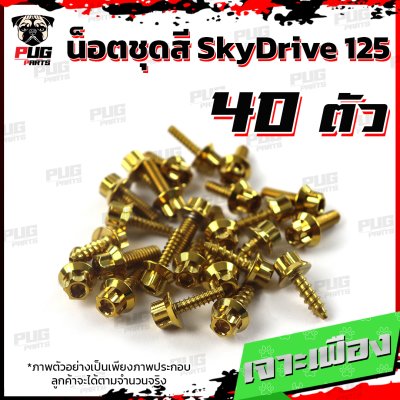 N_SET_Skydrive125_2