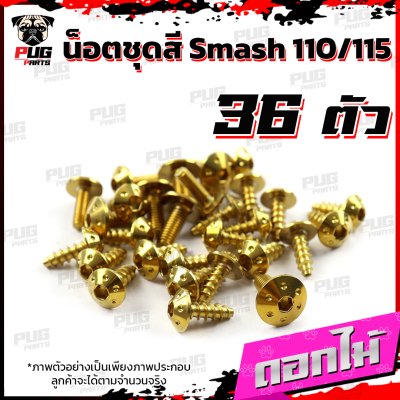 N_SET_Smash110115_2