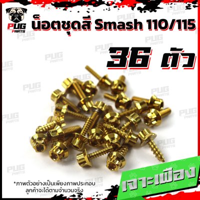 N_SET_Smash110115_3