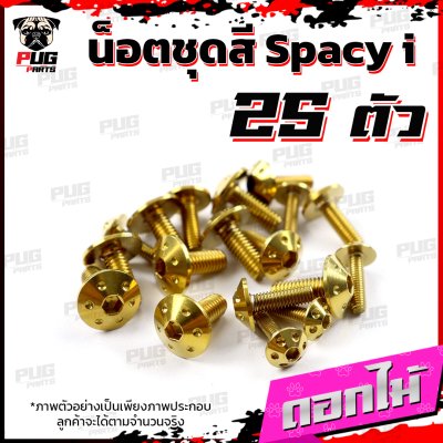 N_SET_Spacy_i_2