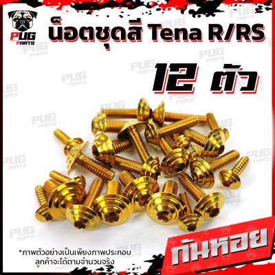 N_SET_TenaRRS_10