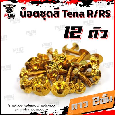 N_SET_TenaRRS_16