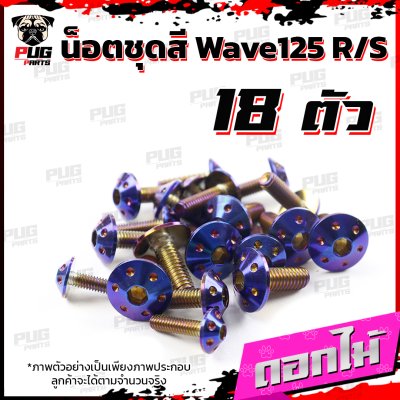 N_SET_W125RS_7