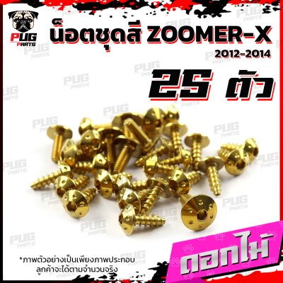 N_SET_ZoomerX1214_3