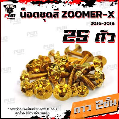 N_SET_ZoomerX15-16_13