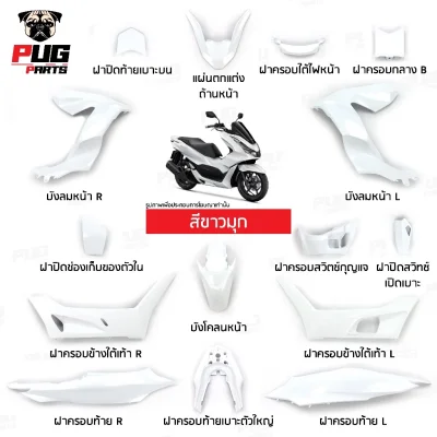 pugparts_Pcx160_2021_2024_ขาวมุก