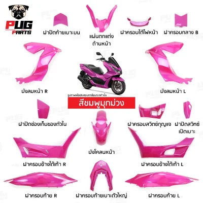 pugparts_Pcx160_2021_2024_ชมพูมุกม่วง