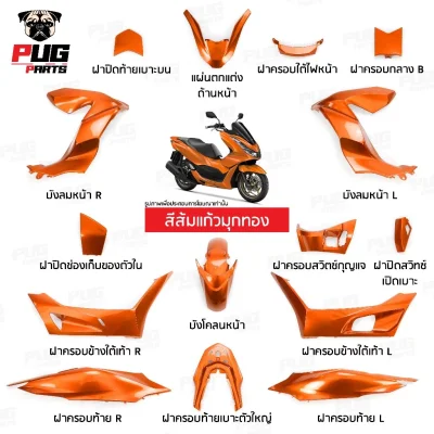 pugparts_Pcx160_2021_2024_ส้มแก้วมุกทอง