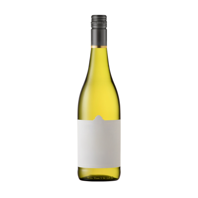 Sauvignon Blanc 2024