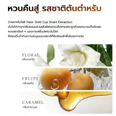 Haier เครื่องชงกาแฟอัตโนมัติ เครื่องชงกาแฟสด เอสเปรสโซ 19 บาร์ พร้อมทำฟองนม HCM5A-011