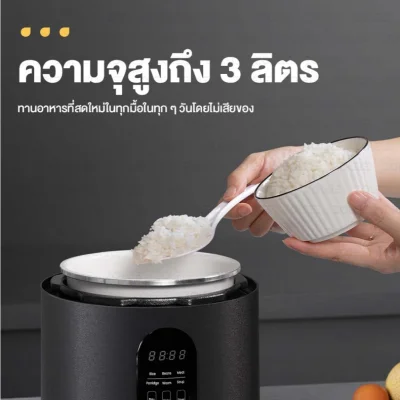 ZOLELE EP301 หม้ออัดแรงดันไฟฟ้า 3L ตั้งค่าล่วงหน้า 24 ชม.