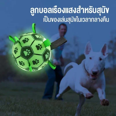 MOMOVIDA DT-8/8L ลูกบอลเรืองแสงสุนัขทนดึง TPU ปลอดภัย ทนกัด