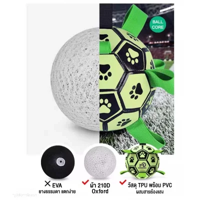 MOMOVIDA DT-8/8L ลูกบอลเรืองแสงสุนัขทนดึง TPU ปลอดภัย ทนกัด