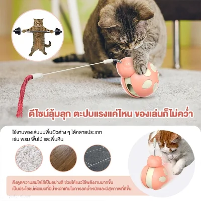 MOMOVIDA ไม้ตกแมว ลูกบอลกระดิ่งล่อแมว ของเล่นแมว ของเล่นให้อาหารสัตว์เลี้ยง