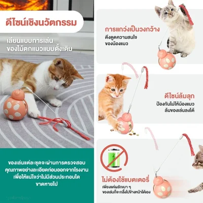 MOMOVIDA ไม้ตกแมว ลูกบอลกระดิ่งล่อแมว ของเล่นแมว ของเล่นให้อาหารสัตว์เลี้ยง