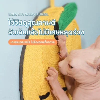 MOMOVIDA แผ่นลับเล็บแมว มีแคทนิป (Catnip)