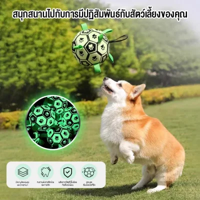 MOMOVIDA DT-8/8L ลูกบอลเรืองแสงสุนัขทนดึง TPU ปลอดภัย ทนกัด