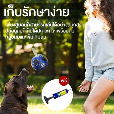 MOMOVIDA DT-22 ลูกบอลฟุตบอลสุนัข 15cm วัสดุ TPU ปลอดภัย