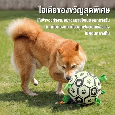 MOMOVIDA DT-8/8L ลูกบอลเรืองแสงสุนัขทนดึง TPU ปลอดภัย ทนกัด