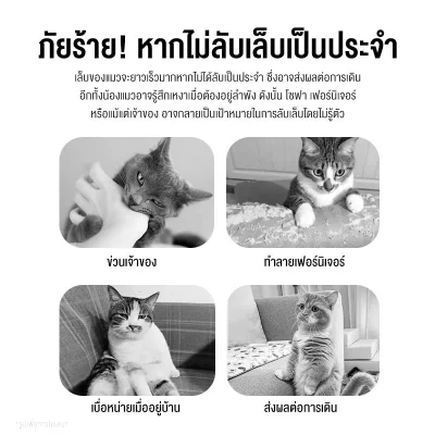 MOMOVIDA แผ่นลับเล็บแมว มีแคทนิป (Catnip)