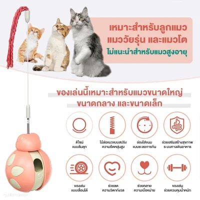 MOMOVIDA ไม้ตกแมว ลูกบอลกระดิ่งล่อแมว ของเล่นแมว ของเล่นให้อาหารสัตว์เลี้ยง