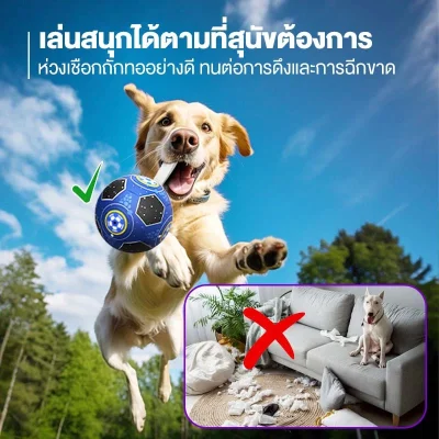 MOMOVIDA DT-22 ลูกบอลฟุตบอลสุนัข 15cm วัสดุ TPU ปลอดภัย